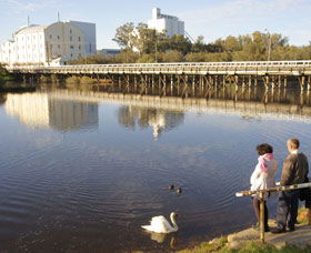 Avon River - Accommodation Directory 1