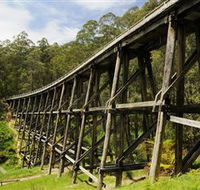 Noojee Trestle Bridge - Accommodation Directory