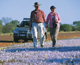Canna Reserve - Accommodation Directory 2