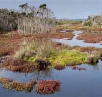 French Island National Park - Accommodation Directory