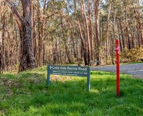 Lobs Hole Ravine 4WD Trail - Accommodation Directory 0