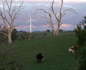 Crookwell Wind Farm - Accommodation Directory 1