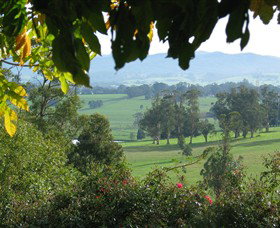 Brandy Creek Wines & View Cafe - Accommodation Directory 5