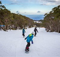 Mt Baw Baw Alpine Resort - Accommodation Directory