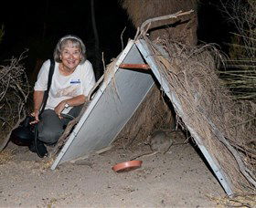 Barna Mia Native Animal Sanctuary - Accommodation Directory 3