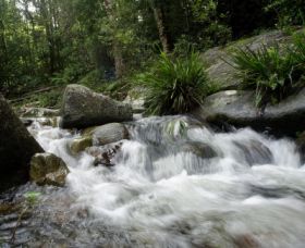 Washpool National Park - Accommodation Directory 0