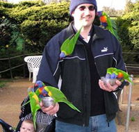Canberra Walk In Aviary - Accommodation Directory