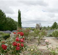 Crystal Brook Lavender Farm - Accommodation Directory