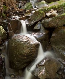 Arc-en-Ciel Trout Farm - Accommodation Directory 1