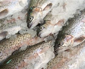 Arc-en-Ciel Trout Farm - Accommodation Directory 3