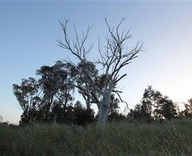 Cooleman Ridge - Accommodation Directory 1