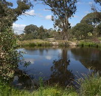 Cooleman Ridge - Accommodation Directory