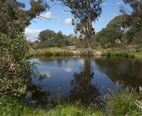 Cooleman Ridge - Accommodation Directory 0