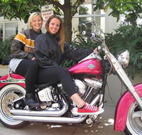 Wild Ride Harley and Motorcycle Tours - Accommodation Directory
