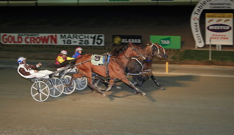 Bathurst Harness Racing Club - Accommodation Directory 3