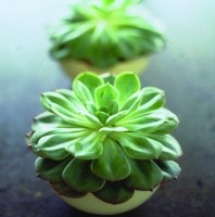 Crossroads Homemaker Centre - Accommodation Directory 1