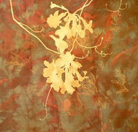 Fellia Melas Gallery - Accommodation Directory