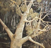 Ku-Ring-Gai Art Centre  Gallery - Accommodation Directory