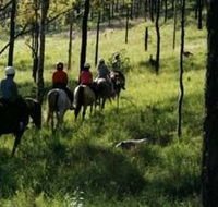 Hunter Valley Horse Riding and Adventures - Accommodation Directory