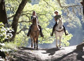 Hunter Valley Horse Riding And Adventures - Accommodation Directory 1