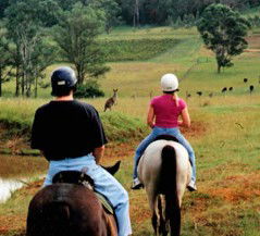 Hunter Valley Horse Riding And Adventures - Accommodation Directory 3