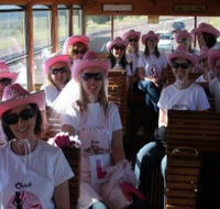 Newcastles Famous Tram - Accommodation Directory