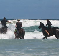 Pegasus Park Equestrian Centre - Accommodation Directory