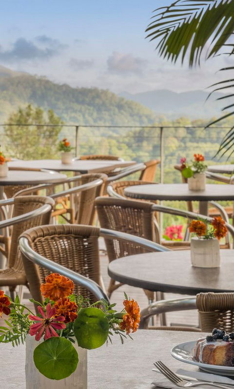 Crystal Castle & Shambhala Gardens - Accommodation Directory 2
