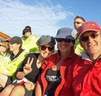 Byron Bay Whale Watching - Accommodation Directory
