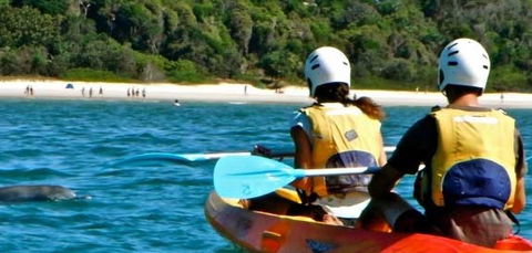 Go Sea Kayak - Accommodation Directory 2