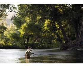 Fly Fishing Tumut - Accommodation Directory 1