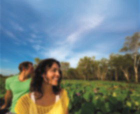 AAT Kings Guided Tours (Top End) - Accommodation Directory 3