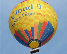 Cloud 9 Balloon Flights - Accommodation Directory 0