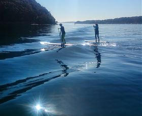 Avalon Stand Up Paddle - Accommodation Directory 2