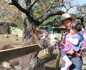 Golden Ridge Animal Farm - Accommodation Directory 1