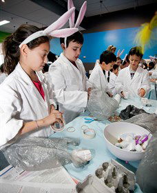 Australian Nuclear Science And Technology Organisation - Accommodation Directory 1