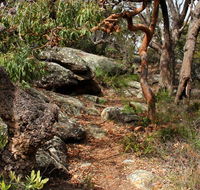Box Head track - Accommodation Directory