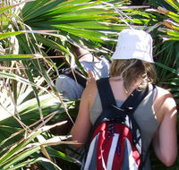 Palm Jungle loop track - Accommodation Directory