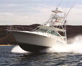 1300 Big Fish - Accommodation Directory 0