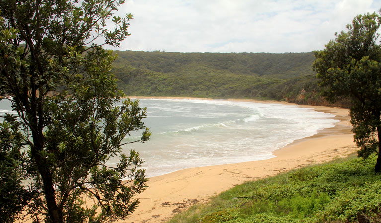 Picketts Valley NSW Accommodation Directory