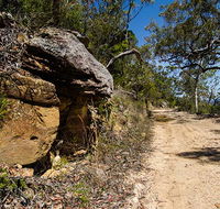 Canoelands Ridge walking track - Accommodation Directory