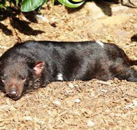 Symbio Wildlife Park - Accommodation Directory