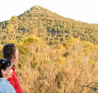 Piles Creek loop - Accommodation Directory