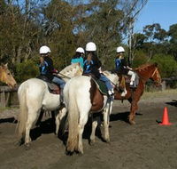 Darkes Forest Riding Ranch - Accommodation Directory