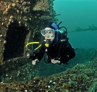 Ex-Hmas Adelaide Dive Site - Accommodation Directory