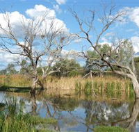 Lagoon Creek - Accommodation Directory