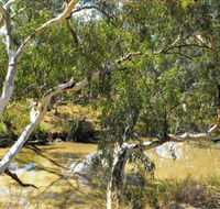 Quilberry Creek Fishing - Accommodation Directory