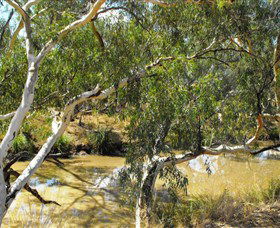 Quilberry Creek Fishing - Accommodation Directory 0