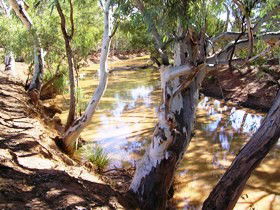 Quilberry Creek Fishing - Accommodation Directory 1