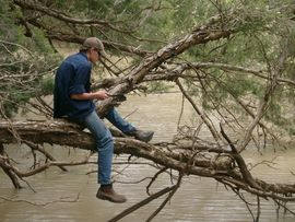 Quilberry Creek Fishing - Accommodation Directory 3